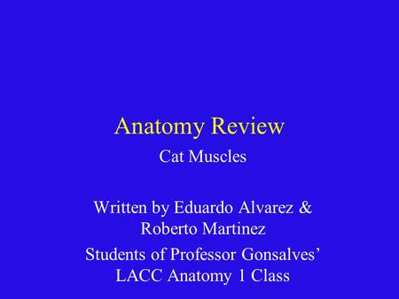 Anatomy Review Cat Muscles