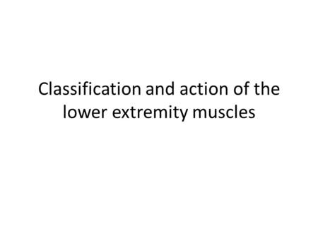 Classification and action of the lower extremity muscles