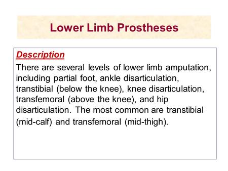 Lower Limb Prostheses Description