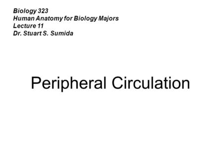 Biology 323 Human Anatomy for Biology Majors Lecture 11 Dr. Stuart S. Sumida Peripheral Circulation.