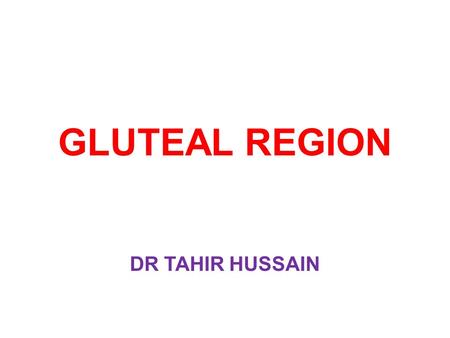 GLUTEAL REGION DR TAHIR HUSSAIN.