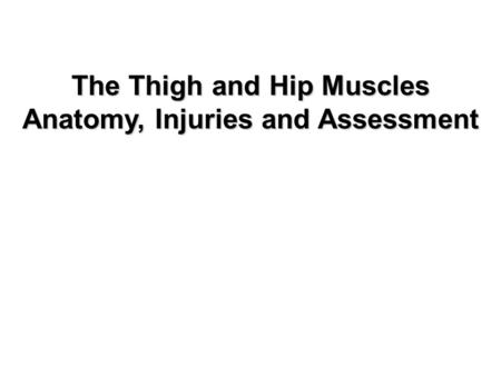The Thigh and Hip Muscles Anatomy, Injuries and Assessment Sports Medicine Camp.