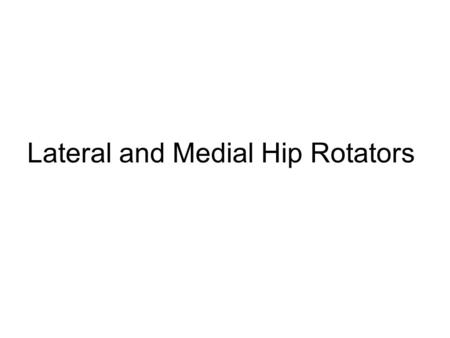 Lateral and Medial Hip Rotators