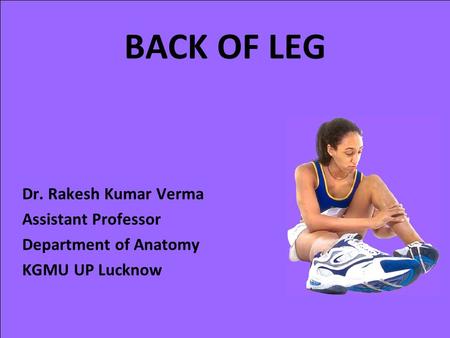 BACK OF LEG Dr. Rakesh Kumar Verma Assistant Professor