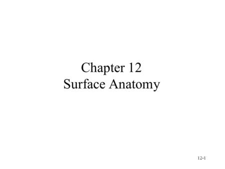 Chapter 12 Surface Anatomy