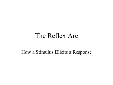 How a Stimulus Elicits a Response