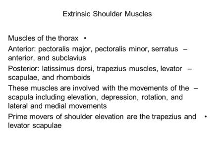 Extrinsic Shoulder Muscles