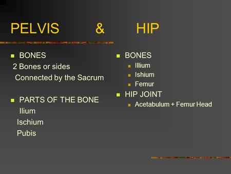 PELVIS & HIP BONES 2 Bones or sides Connected by the Sacrum PARTS OF THE BONE Ilium Ischium Pubis BONES Illium Ishium Femur HIP JOINT Acetabulum + Femur.