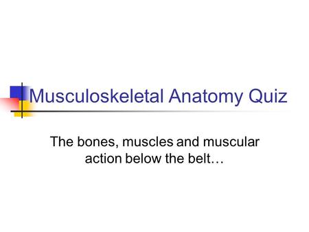 Musculoskeletal Anatomy Quiz