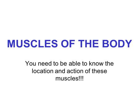 MUSCLES OF THE BODY You need to be able to know the location and action of these muscles!!!
