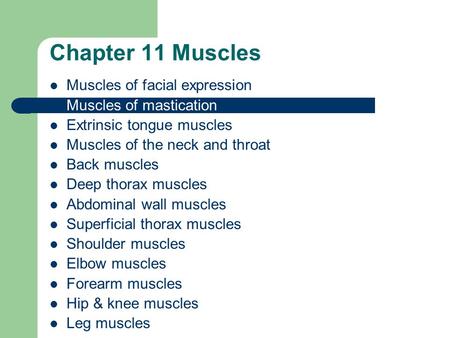 Chapter 11 Muscles Muscles of facial expression Muscles of mastication