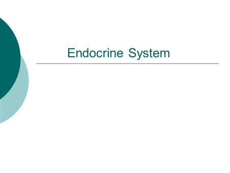 Endocrine System. What Is the Endocrine System? The foundations of the endocrine system are the hormones and glands. As the body's chemical messengers,