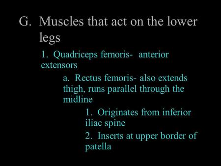 Muscles that act on the lower legs