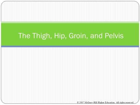 The Thigh, Hip, Groin, and Pelvis