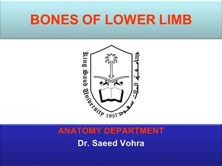 BONES OF LOWER LIMB ANATOMY DEPARTMENT Dr. Saeed Vohra.