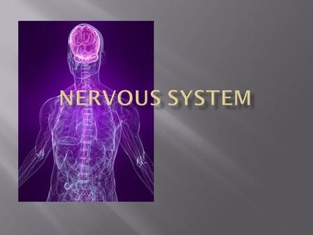 The function of the nervous system is to control the body by sending signals from cell to another. “cell communica tion”