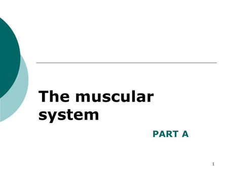 The muscular system PART A.