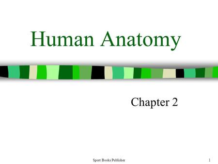 Sport Books Publisher1 Human Anatomy Chapter 2. Sport Books Publisher2 Table of Contents Introduction Terms and Concepts Worth Knowing –Anatomical Position.