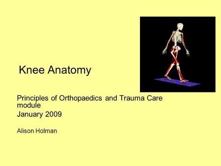 Knee Anatomy Principles of Orthopaedics and Trauma Care module January 2009 Alison Holman.