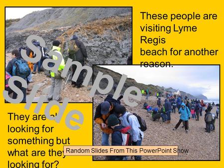 These people are visiting Lyme Regis beach for another reason. They are all looking for something but what are they looking for? Sample Slide Random Slides.