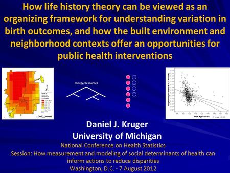 How life history theory can be viewed as an organizing framework for understanding variation in birth outcomes, and how the built environment and neighborhood.