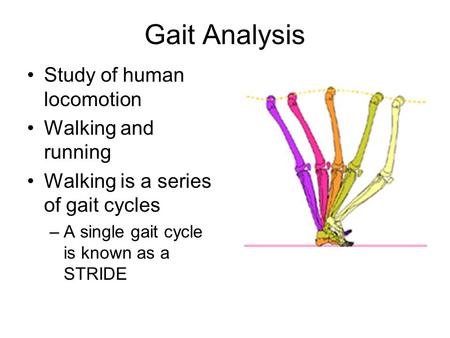 Gait Analysis Study of human locomotion Walking and running