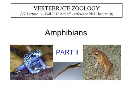 Amphibians PART II VERTEBRATE ZOOLOGY (VZ Lecture13 – Fall 2012 Althoff - reference PJH Chapter 10)