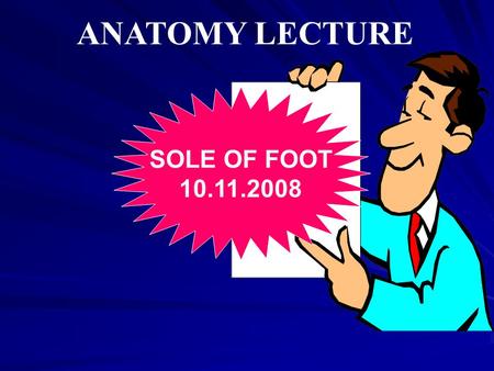 ANATOMY LECTURE SOLE OF FOOT 10.11.2008.