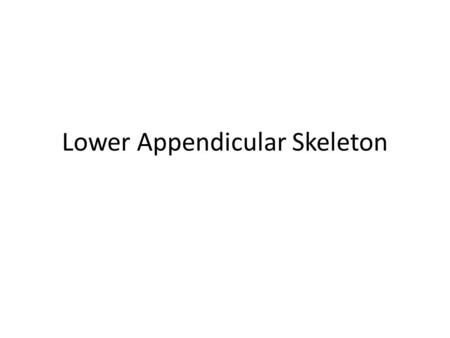Lower Appendicular Skeleton. Pelvic Girdle Composed of sacrum, coccyx, and 2 coxae (hipbones) Coxae have 3 distinct parts: – Ilium – Ischium – Pubis.