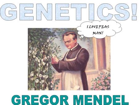 GENETICS! I LOVE PEAS MAN! GREGOR MENDEL.