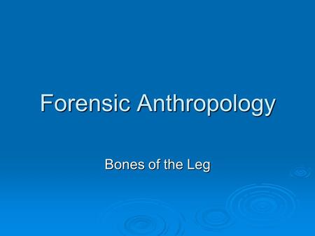 Forensic Anthropology Bones of the Leg. Skeletal anatomy of the leg Comprised of 4 bones Femur Femur Tibia Tibia Fibula Fibula Patella Patella Useful.
