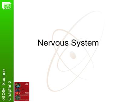 Nervous System GCSE Science Chapter 2.