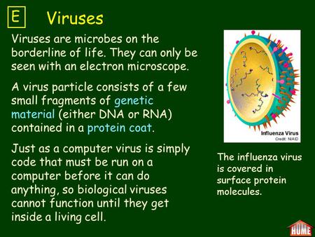 Viruses are microbes on the borderline of life. They can only be seen with an electron microscope. A virus particle consists of a few small fragments of.