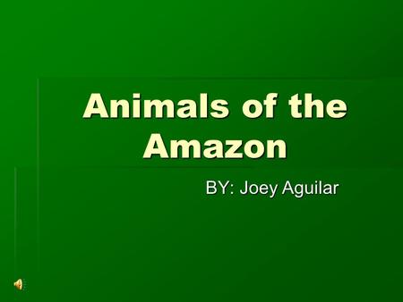Animals of the Amazon BY: Joey Aguilar. The Anaconda  The world's biggest snake is a fearsome predator and in the wild spends most of its time in water.