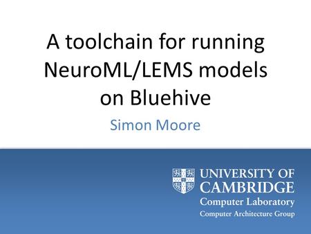 A toolchain for running NeuroML/LEMS models on Bluehive Simon Moore.