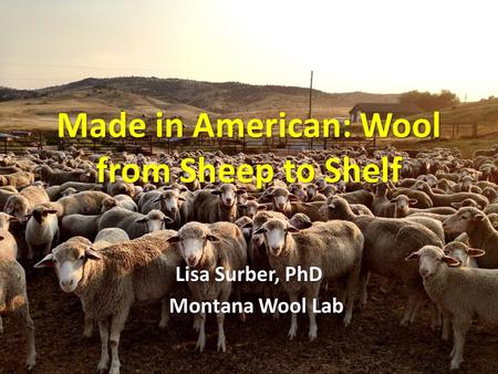Made in American: Wool from Sheep to Shelf Lisa Surber, PhD Montana Wool Lab Montana Wool Lab.