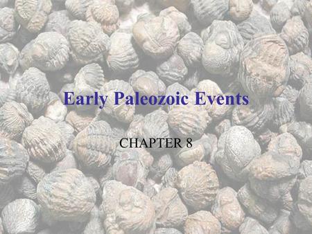 Early Paleozoic Events