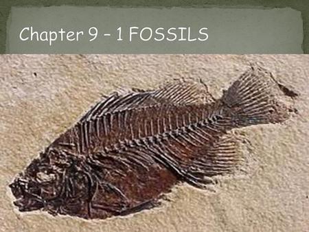 Chapter 9 – 1 FOSSILS.