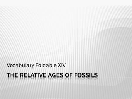 Vocabulary Foldable XIV.  The preserved remains, trace, or imprint of an ancient organism.