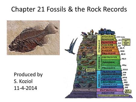 Chapter 21 Fossils & the Rock Records
