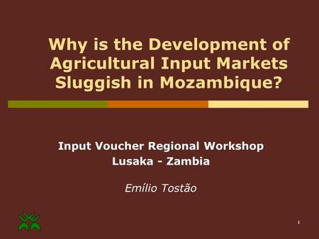 1 Why is the Development of Agricultural Input Markets Sluggish in Mozambique? Input Voucher Regional Workshop Lusaka - Zambia Emílio Tostão.