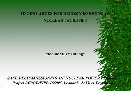 1 TECHNOLOGIES FOR DECOMMISSIONING OF NUCLEAR FACILITIES SAFE DECOMMISSIONING OF NUCLEAR POWER PLANTS Project BG04/B/F/PP-166005, Leonardo da Vinci Programme.