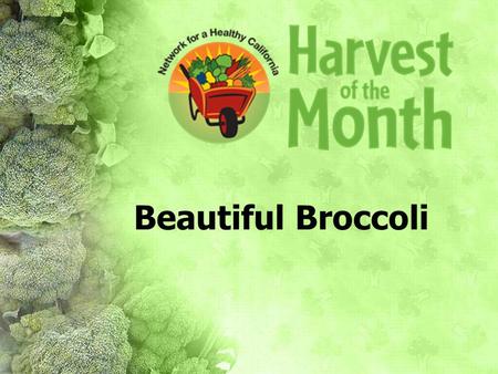 Beautiful Broccoli.