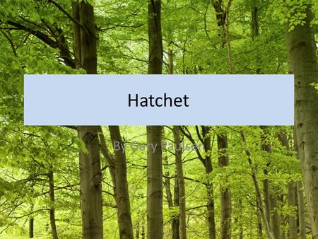Hatchet By Gary Paulsen. Where was Brian going at the beginning of the story? To visit his dad To visit his mother On vacation.