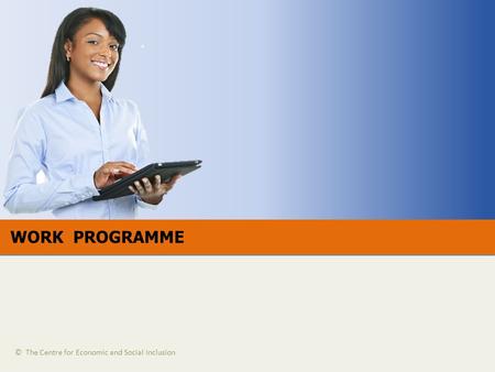 WORK PROGRAMME © The Centre for Economic and Social Inclusion.