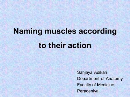 Naming muscles according to their action