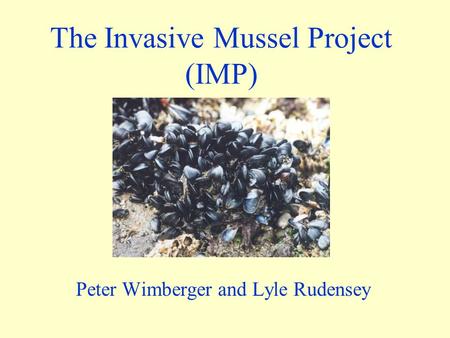 The Invasive Mussel Project (IMP) Peter Wimberger and Lyle Rudensey.