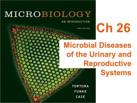 Ch 26 Microbial Diseases of the Urinary and Reproductive Systems.