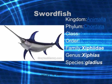 Swordfish Kingdom:Animalia Phylum:Chordata Class:Actinopterygii