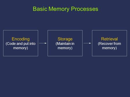 Storage (Maintain in memory) Retrieval (Recover from memory) Encoding (Code and put into memory) Basic Memory Processes.